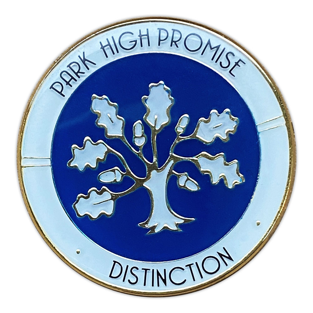 43102 HST Hard Enamel Badge